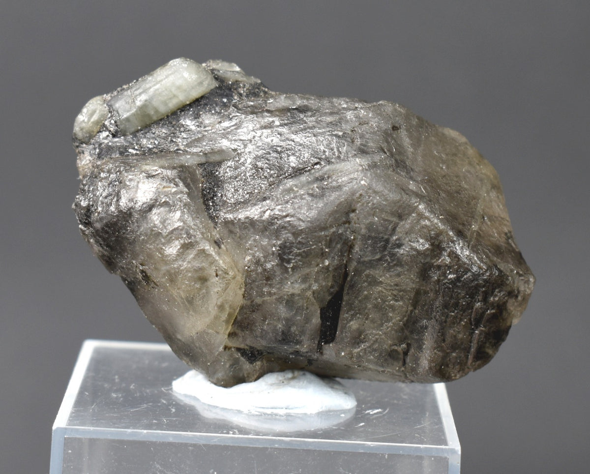 Phenakite, Phenacite VERY RARE Terminated Large Crystal Specimen from Brazil - 1 Count - 34 grams, 170 carats