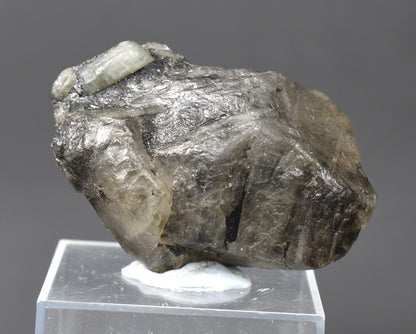 Phenakite, Phenacite VERY RARE Terminated Large Crystal Specimen from Brazil - 1 Count - 34 grams, 170 carats