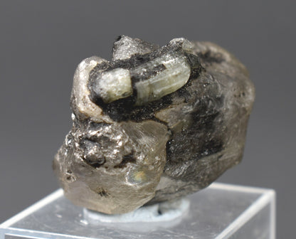 Phenakite, Phenacite VERY RARE Terminated Large Crystal Specimen from Brazil - 1 Count - 34 grams, 170 carats