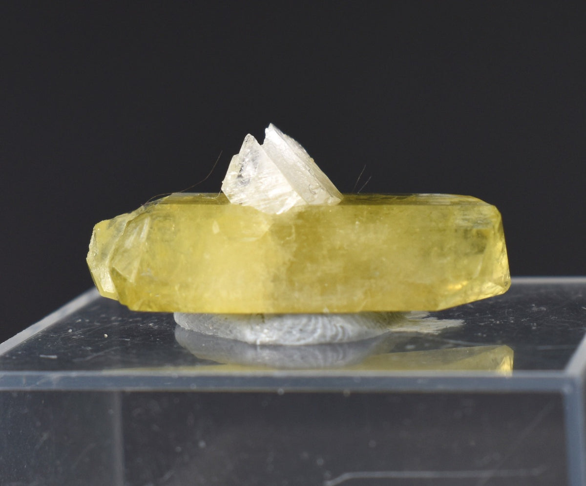 Brazilianite Crystal Cluster with Albite & Muscovite - from Linopolis, Minas Gerais, Brazil, museum quality, 3.5g