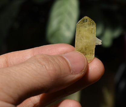 Brazilianite Crystal Cluster with Albite & Muscovite - from Linopolis, Minas Gerais, Brazil, museum quality, 3.5g
