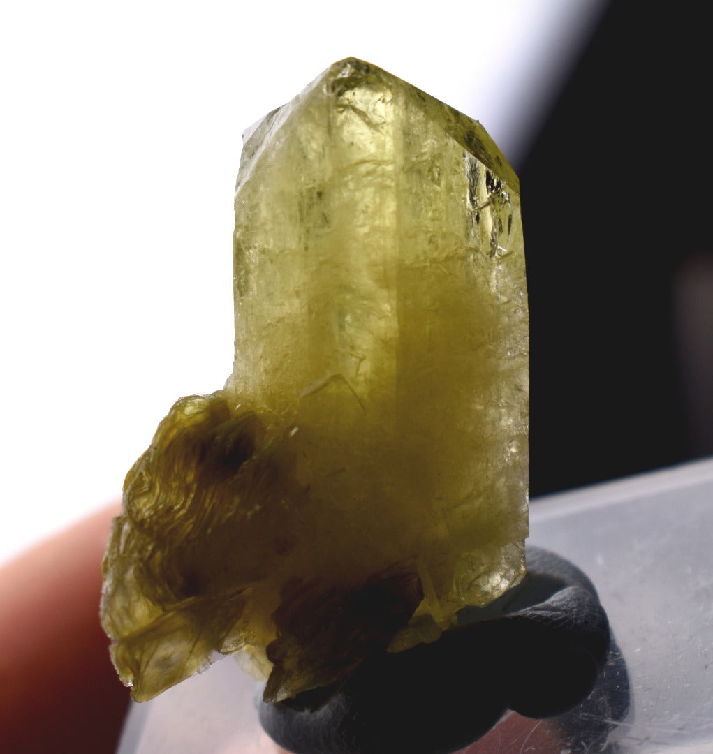 Brazilianite Crystal Cluster with Muscovite - from Linopolis, Minas Gerais, Brazil, museum quality, 9.8g