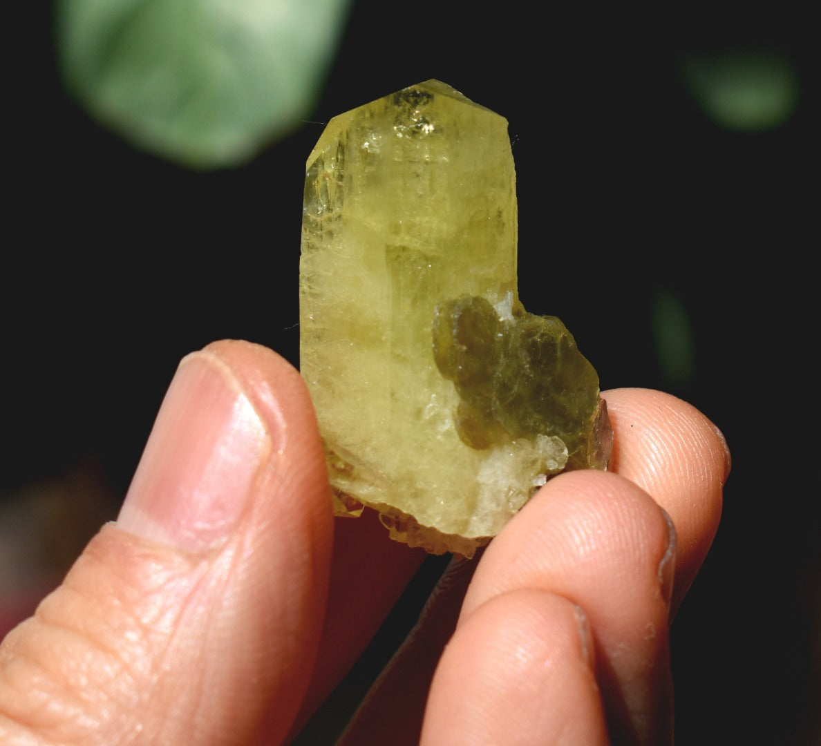 Brazilianite Crystal Cluster with Muscovite - from Linopolis, Minas Gerais, Brazil, museum quality, 9.8g