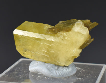Brazilianite Crystal Cluster with Muscovite - from Linopolis, Minas Gerais, Brazil, museum quality, 9.8g