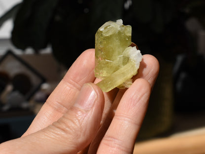 Brazilianite Crystal Cluster with Albite & Muscovite - from Linopolis, Minas Gerais, Brazil, museum quality, 24g