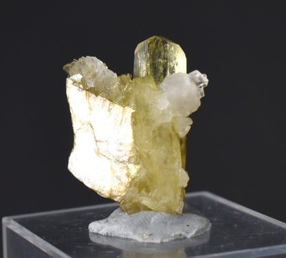 Brazilianite Crystal Cluster with Albite & Muscovite - from Linopolis, Minas Gerais, Brazil, museum quality, 4.7g