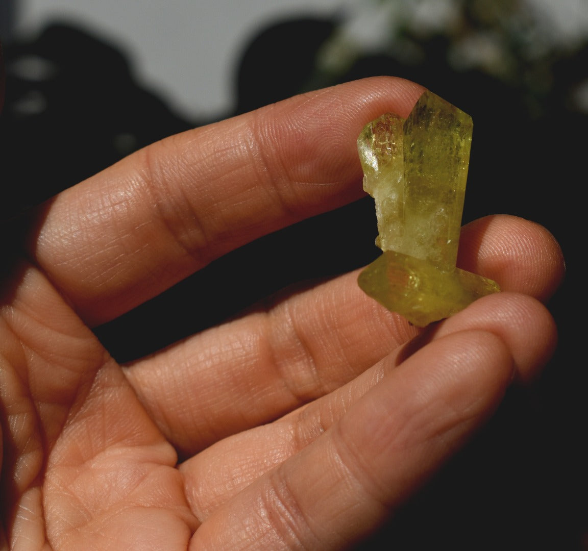 Brazilianite Crystal Cluster with Albite & Muscovite - from Linopolis, Minas Gerais, Brazil, museum quality, 6.3g