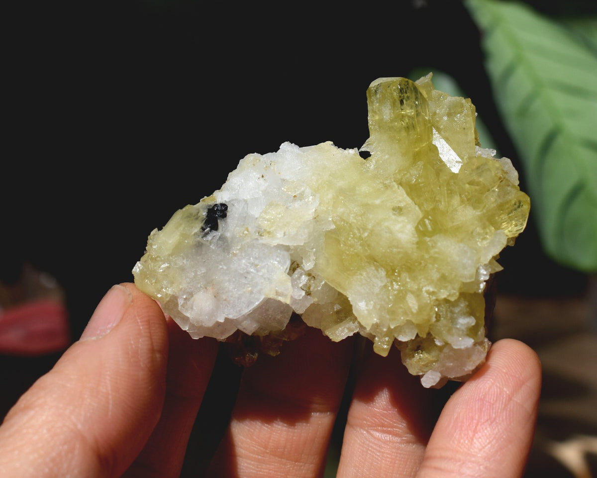 Brazilianite Crystal Cluster with Albite, Muscovite, Black Tourmaline - from Linopolis, Minas Gerais, Brazil, museum quality, 59.8g