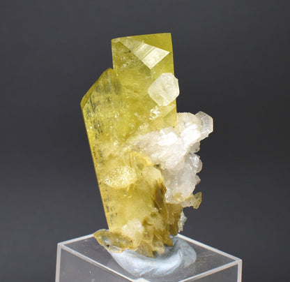 Brazilianite Crystal Cluster with Albite & Muscovite - from Linopolis, Minas Gerais, Brazil, museum quality, 50g