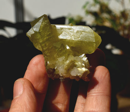 Brazilianite Crystal Cluster with Albite & Muscovite - from Linopolis, Minas Gerais, Brazil, museum quality, 46g
