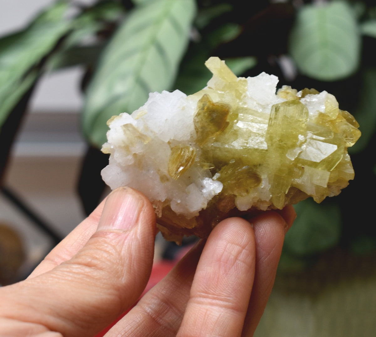 Brazilianite Crystal Cluster with Albite & Muscovite - from Linopolis, Minas Gerais, Brazil, museum quality, 114g
