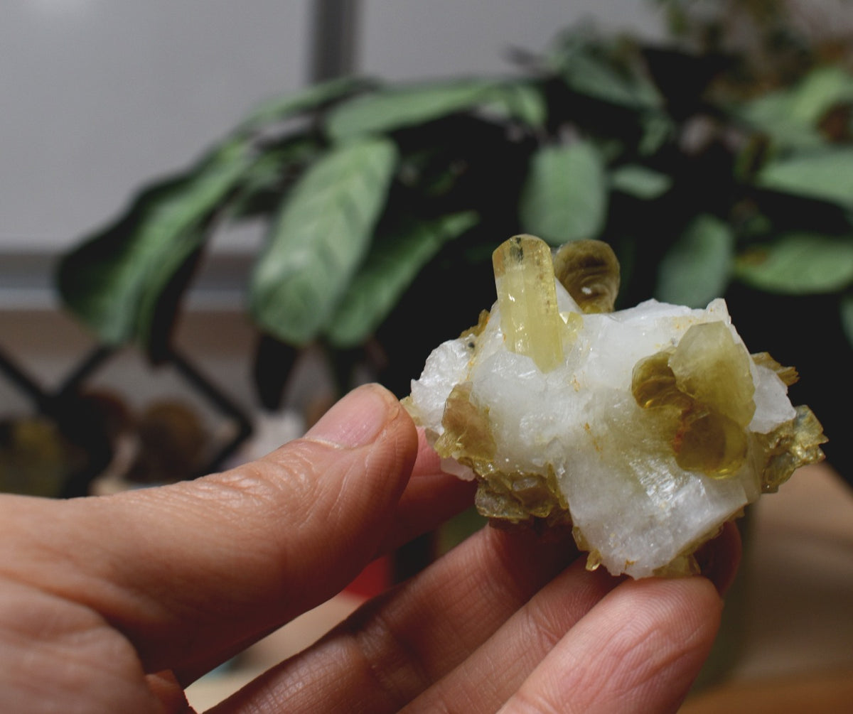 Brazilianite Crystal Cluster with Albite & Muscovite - from Linopolis, Minas Gerais, Brazil, museum quality, 48g
