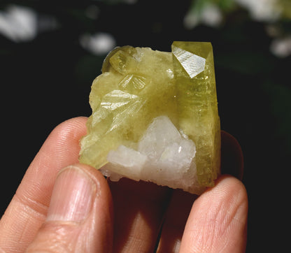 Brazilianite Crystal Cluster with Albite & Muscovite - from Linopolis, Minas Gerais, Brazil, museum quality, 27g