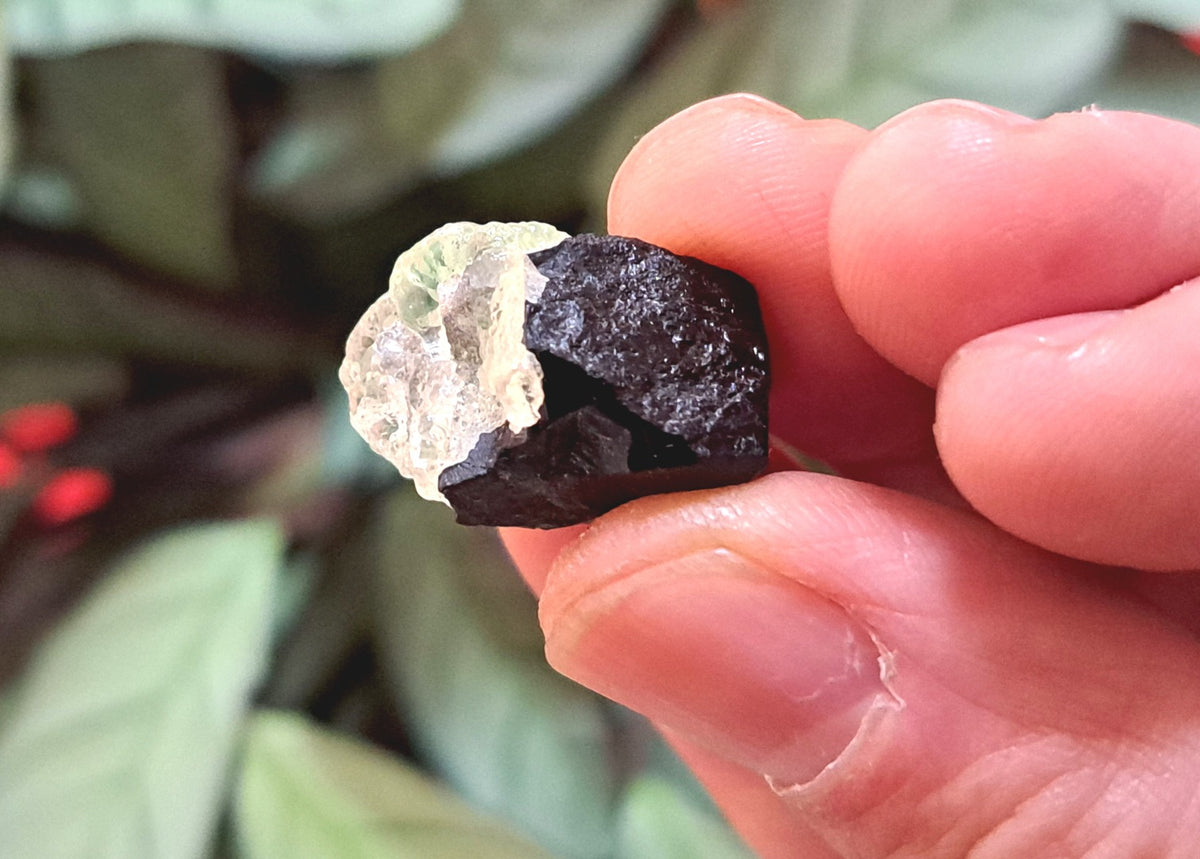 Fluorescent Hyalite Opal with Black Tourmaline - Mineral from Erongo Mountains Namibia, 5.7 grams