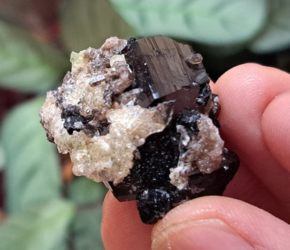 Fluorescent Hyalite Opal with Smoky Quartz, Black Tourmaline - Mineral from Erongo Mountains Namibia, 20 grams