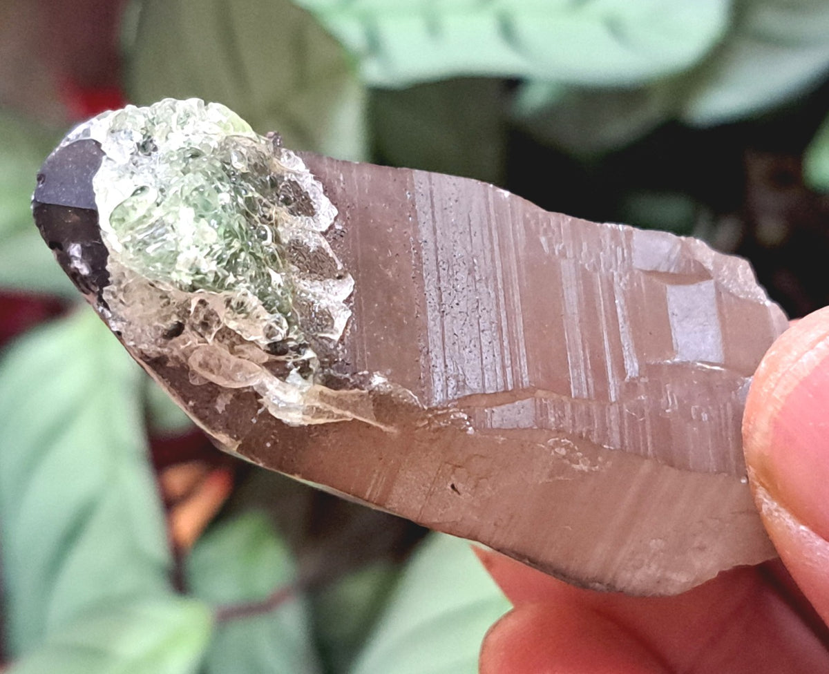 Fluorescent Hyalite Opal with Smoky Quartz - Mineral from Erongo Mountains Namibia, 50 grams