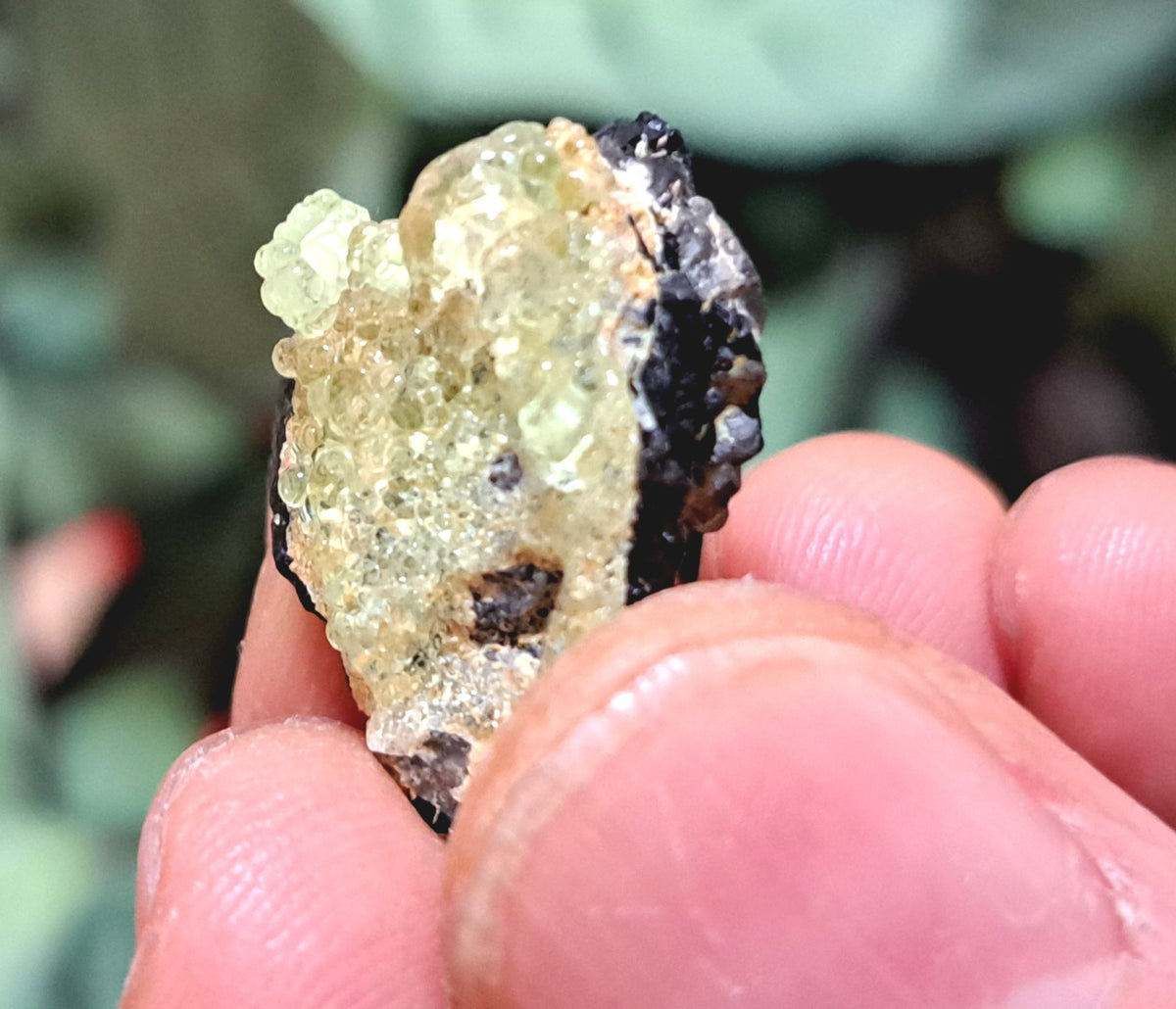 Fluorescent Hyalite Opal with Smoky Quartz, Black Tourmaline - Mineral from Erongo Mountains Namibia, 4 grams