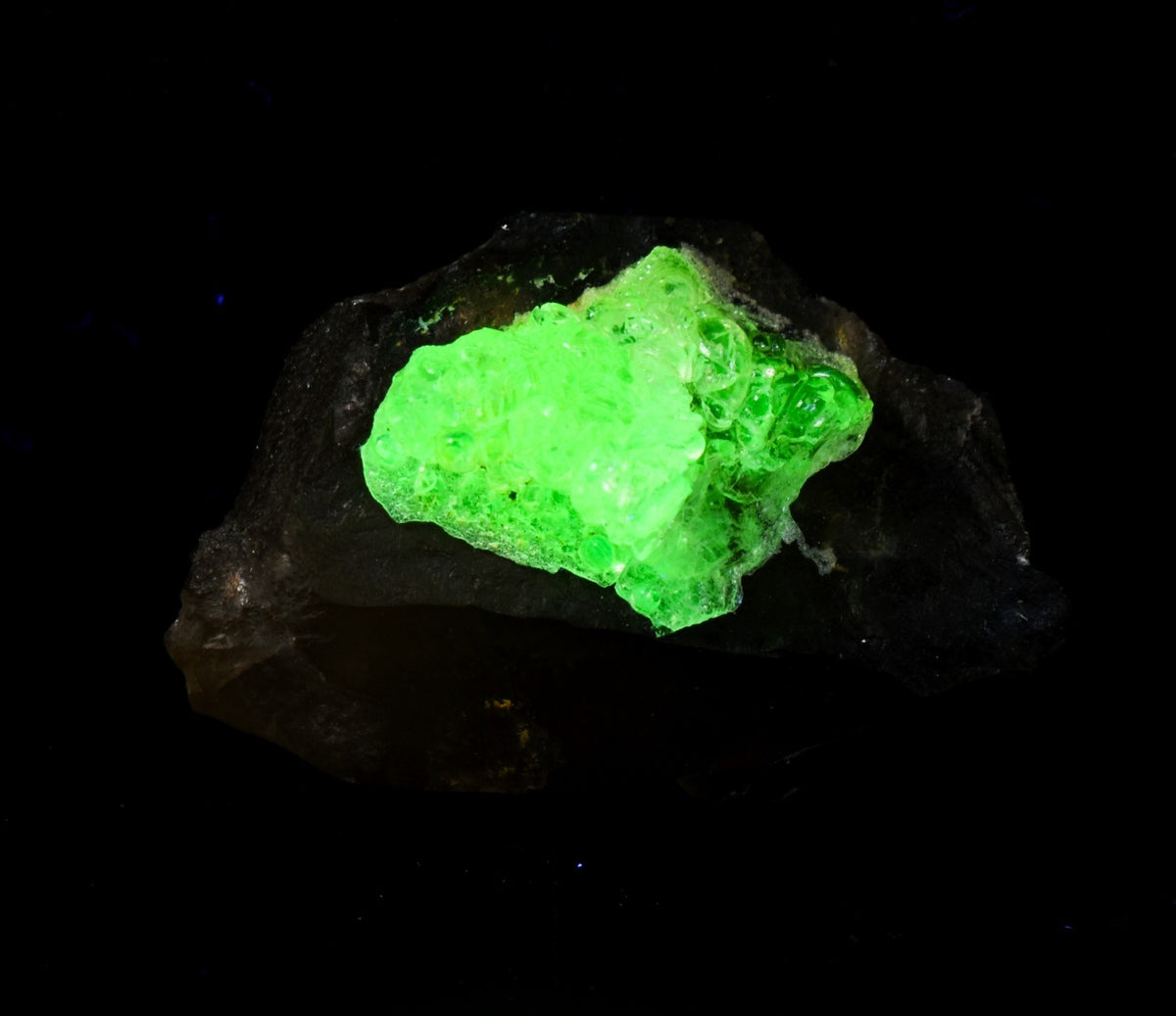 Fluorescent Hyalite Opal with Smoky Quartz - Mineral from Erongo Mountains Namibia, 24 grams