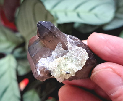 Fluorescent Hyalite Opal with Smoky Quartz - Mineral from Erongo Mountains Namibia, 26 grams