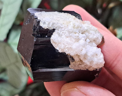 Fluorescent Hyalite Opal with Smoky Quartz, Black Tourmaline - Mineral from Erongo Mountains Namibia, 66 grams