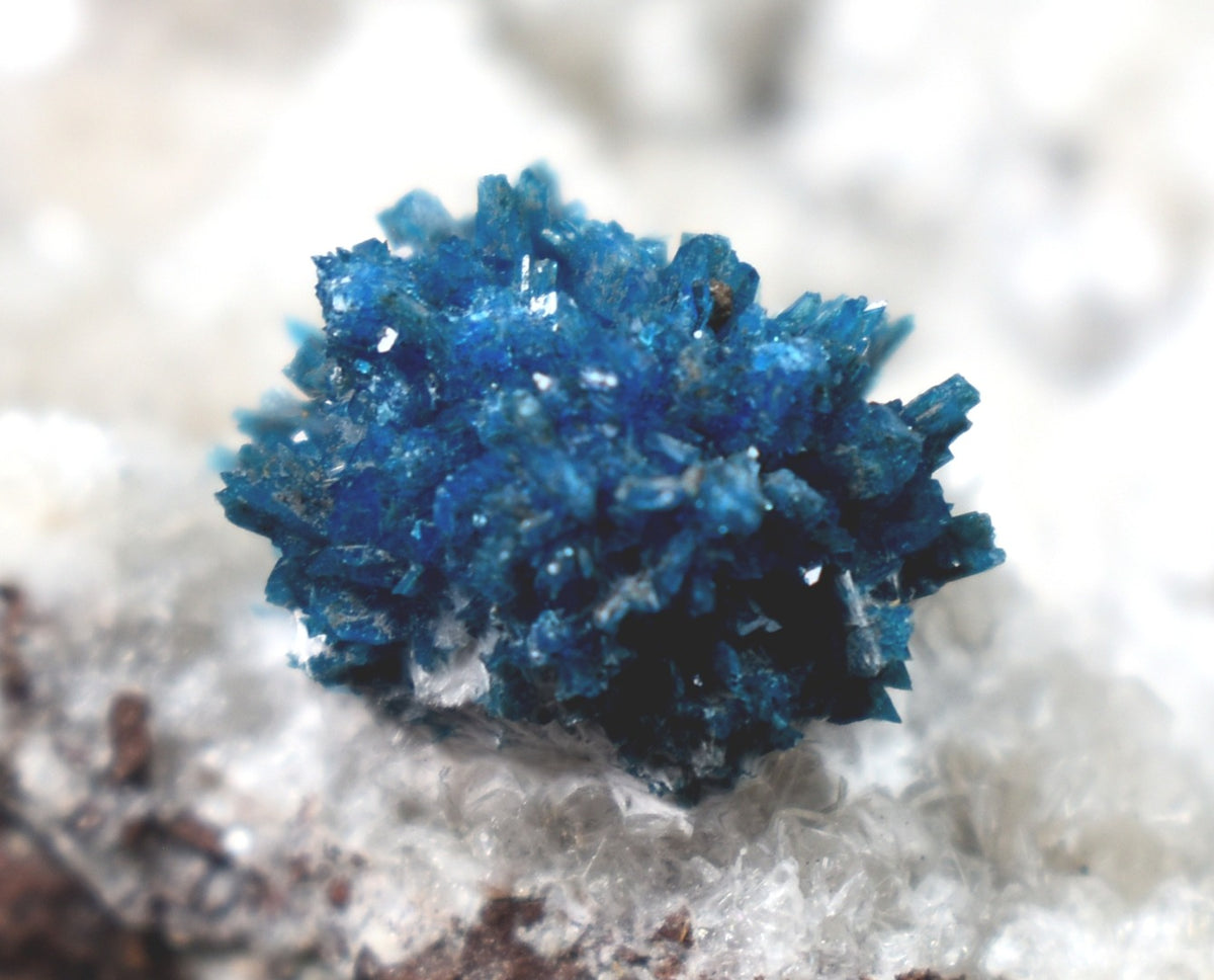 Rare Cavansite Cluster with Stilbite On Matrix from Wagholi, Pune, India - 169 grams