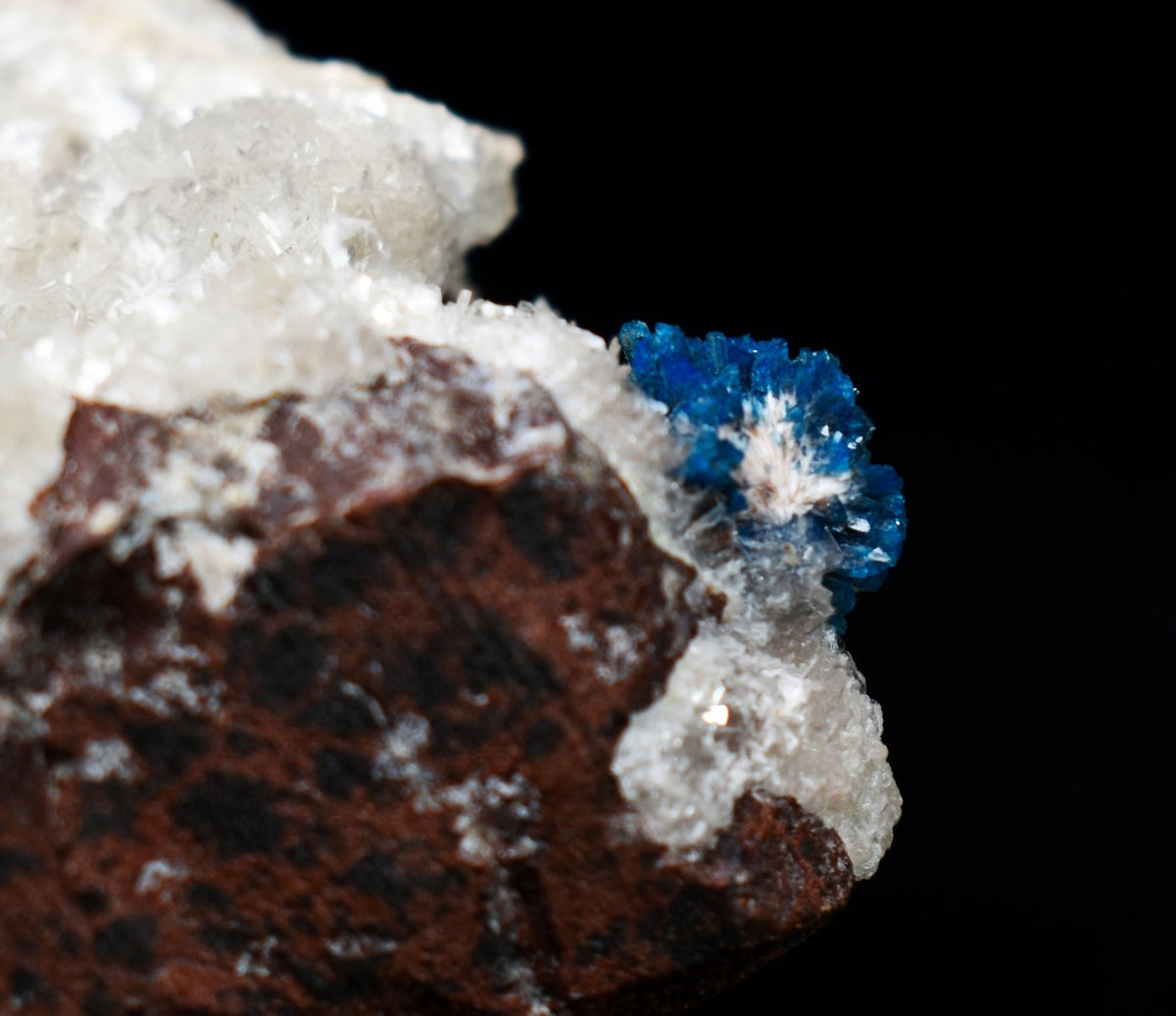 Rare Cavansite Cluster with Stilbite On Matrix from Wagholi, Pune, India - 169 grams
