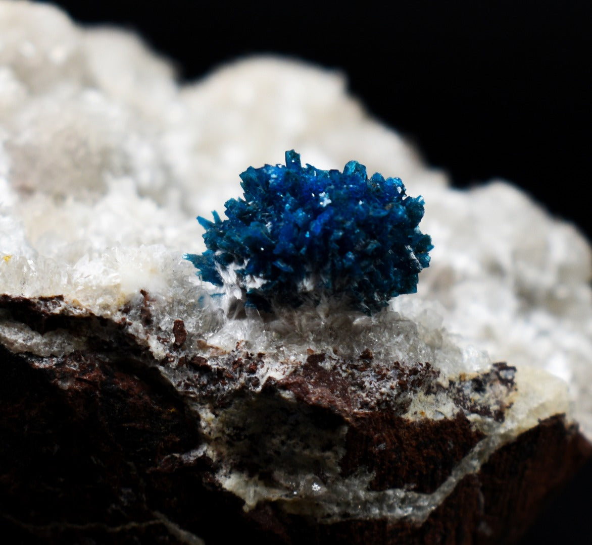 Rare Cavansite Cluster with Stilbite On Matrix from Wagholi, Pune, India - 169 grams