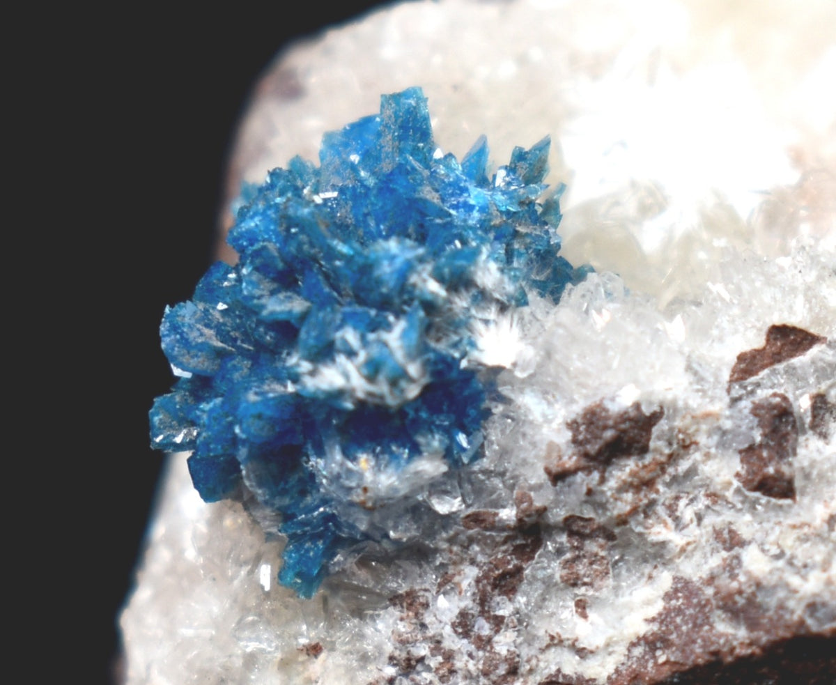Rare Cavansite Cluster with Stilbite On Matrix from Wagholi, Pune, India - 169 grams