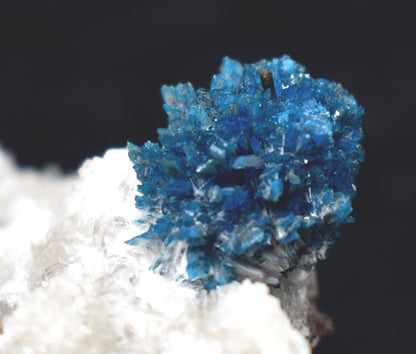 Rare Cavansite Cluster with Stilbite On Matrix from Wagholi, Pune, India - 169 grams