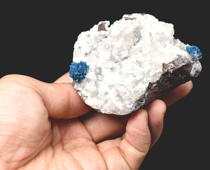 Rare Cavansite Cluster with Stilbite On Matrix from Wagholi, Pune, India - 169 grams