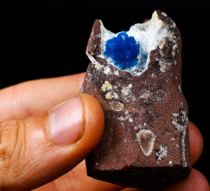 Rare Cavansite Cluster with Stilbite & Mordenite On Matrix from Wagholi, Pune, India - 57 grams