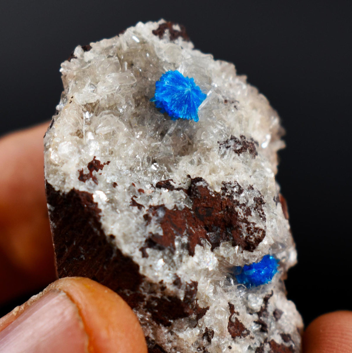 Rare Cavansite and Pentagonite Cluster with Stilbite On Matrix from Wagholi, Pune, India - 21 grams