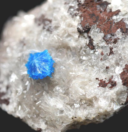 Rare Cavansite and Pentagonite Cluster with Stilbite On Matrix from Wagholi, Pune, India - 21 grams