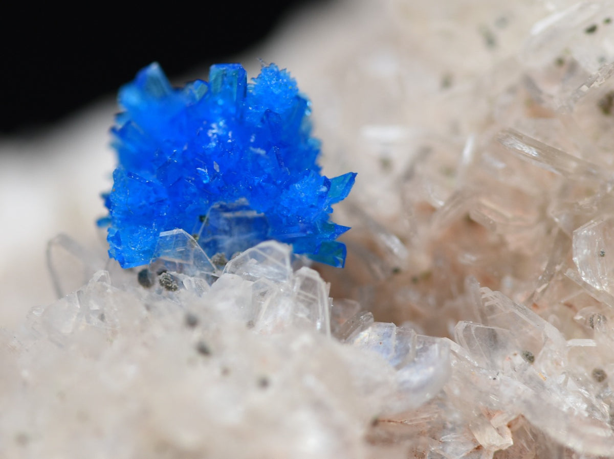 Rare Cavansite and Pentagonite Cluster with Stilbite On Matrix from Wagholi, Pune, India - 112 grams