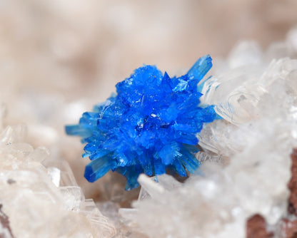Rare Cavansite and Pentagonite Cluster with Stilbite On Matrix from Wagholi, Pune, India - 112 grams