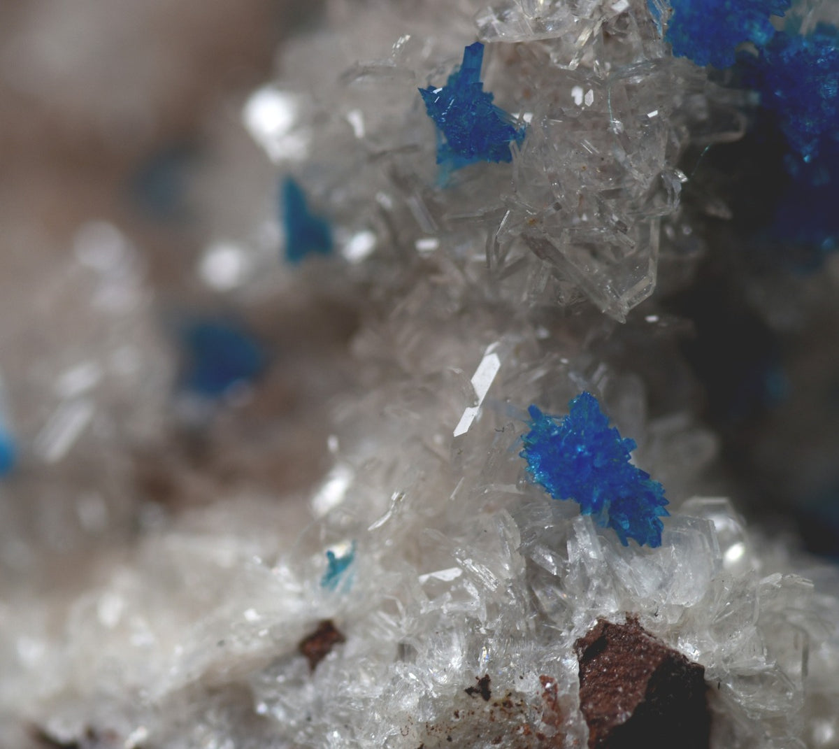 Rare Cavansite and Pentagonite Cluster with Stilbite On Matrix from Wagholi, Pune, India - 24 grams