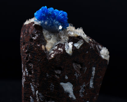 Rare Cavansite and Pentagonite Cluster with Stilbite On Matrix from Wagholi, Pune, India - 38 grams