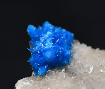 Rare Cavansite and Pentagonite Cluster with Stilbite On Matrix from Wagholi, Pune, India - 38 grams