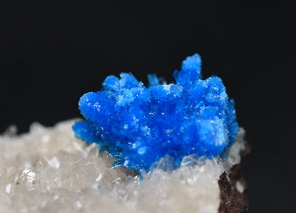 Rare Cavansite and Pentagonite Cluster with Stilbite On Matrix from Wagholi, Pune, India - 38 grams