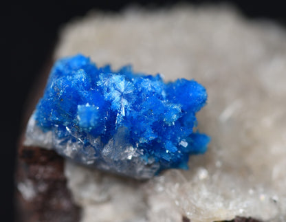 Rare Cavansite and Pentagonite Cluster with Stilbite On Matrix from Wagholi, Pune, India - 38 grams