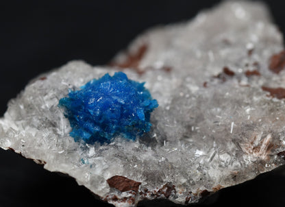 Rare Cavansite Cluster with Stilbite On Matrix from Wagholi, Pune, India - 18 grams