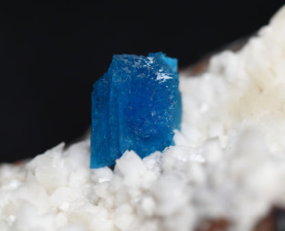 Rare Cavansite Cluster with Stilbite On Matrix from Wagholi, Pune, India - 105 grams