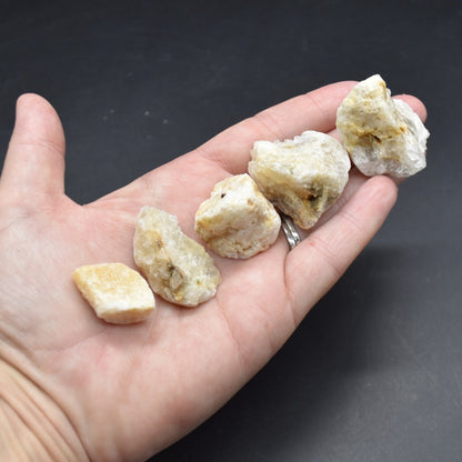 Honey & Cream Azeztulite Azozeo Raw Quartz Crystal - 5 Sizes - 1 Count