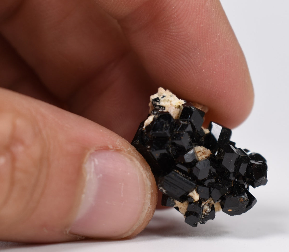 Lustrous Black Tourmaline On Feldspar - Raw Schorl Crystal Cluster - Natural Mineral Specimen - 7 Grams - Crystal Decor