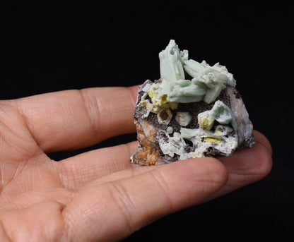 Rare Plumbogummite Cluster - Daoping Mine, China, Blue-Green Pseudomorphs after Pyromorphite - 39 grams