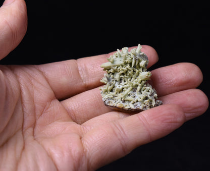 Rare Plumbogummite Cluster - Daoping Mine, China, Blue-Green Pseudomorphs after Pyromorphite - 11 grams