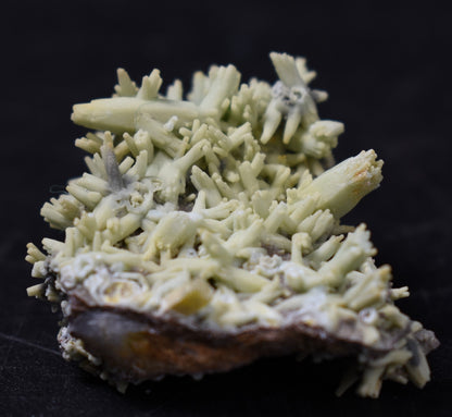 Rare Plumbogummite Cluster - Daoping Mine, China, Blue-Green Pseudomorphs after Pyromorphite - 11 grams