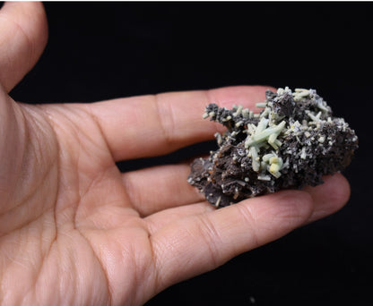 Rare Plumbogummite Cluster - Daoping Mine, China, Blue-Green Pseudomorphs after Pyromorphite - 21 grams