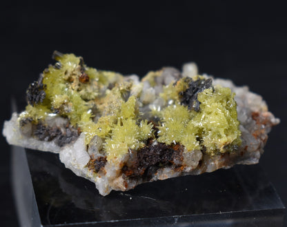 Lustrous Apple Green & Brown Pyromorphite Crystal - Daoping Mine, China - Rare - 14.2 grams