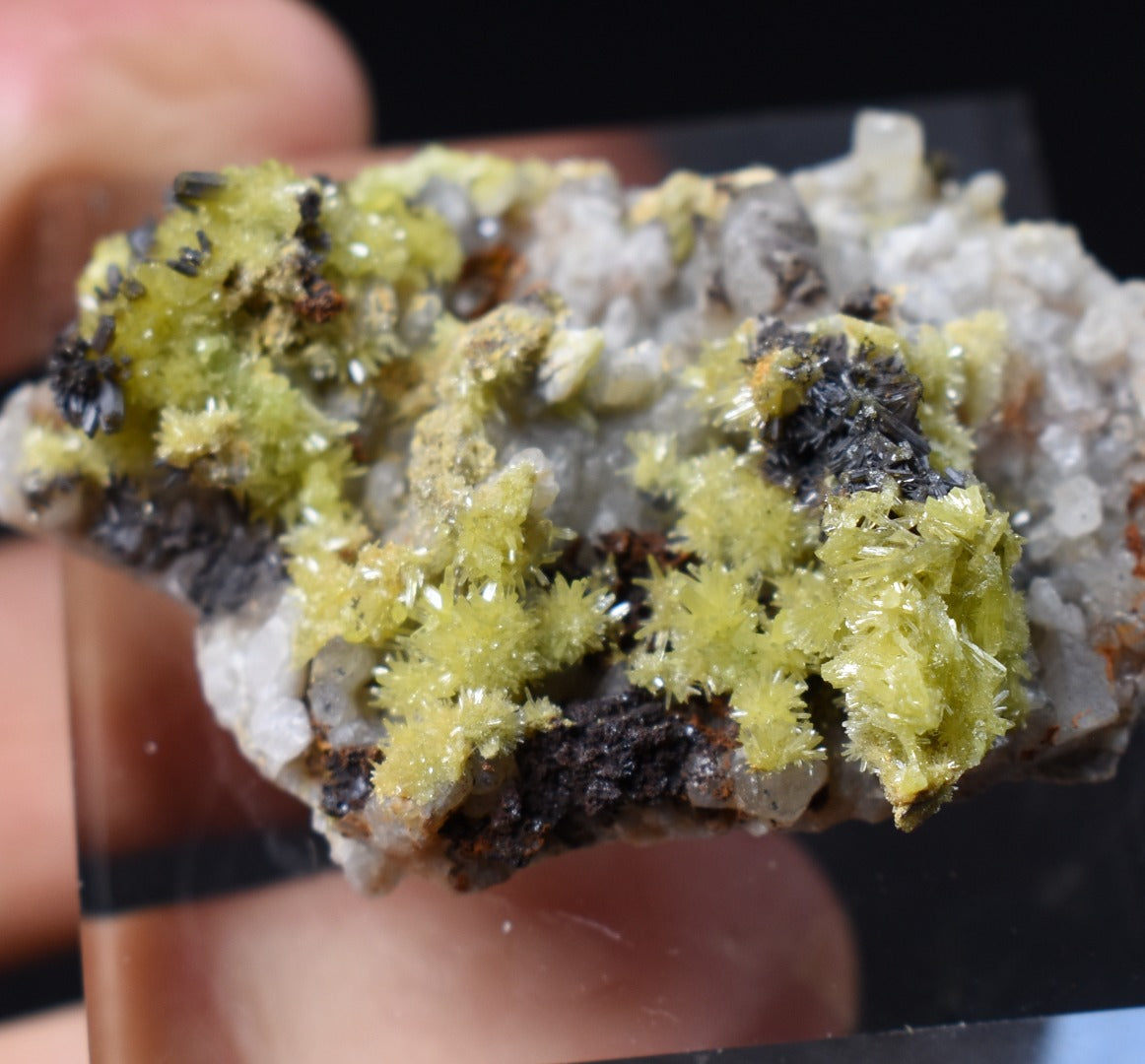 Lustrous Apple Green & Brown Pyromorphite Crystal - Daoping Mine, China - Rare - 14.2 grams